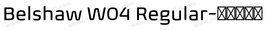 Belshaw W04 Regular字体转换